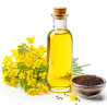 روغن کلزا Canola Oil | روغن گیاهی مناسب پخت و پز