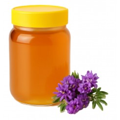 عسل گون 500 گرمی