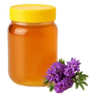 عسل گون 500 گرمی