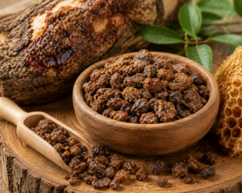 bee-propolis-natural-hive-product-S